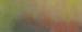 garden.jpg(848 byte)