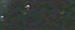 roar.jpg(909 byte)